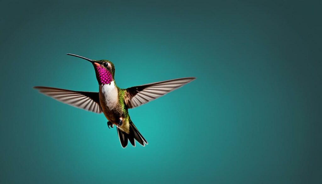 Hummingbird Performance Scanning